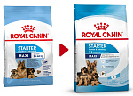 Royal Canin Maxi Starter
